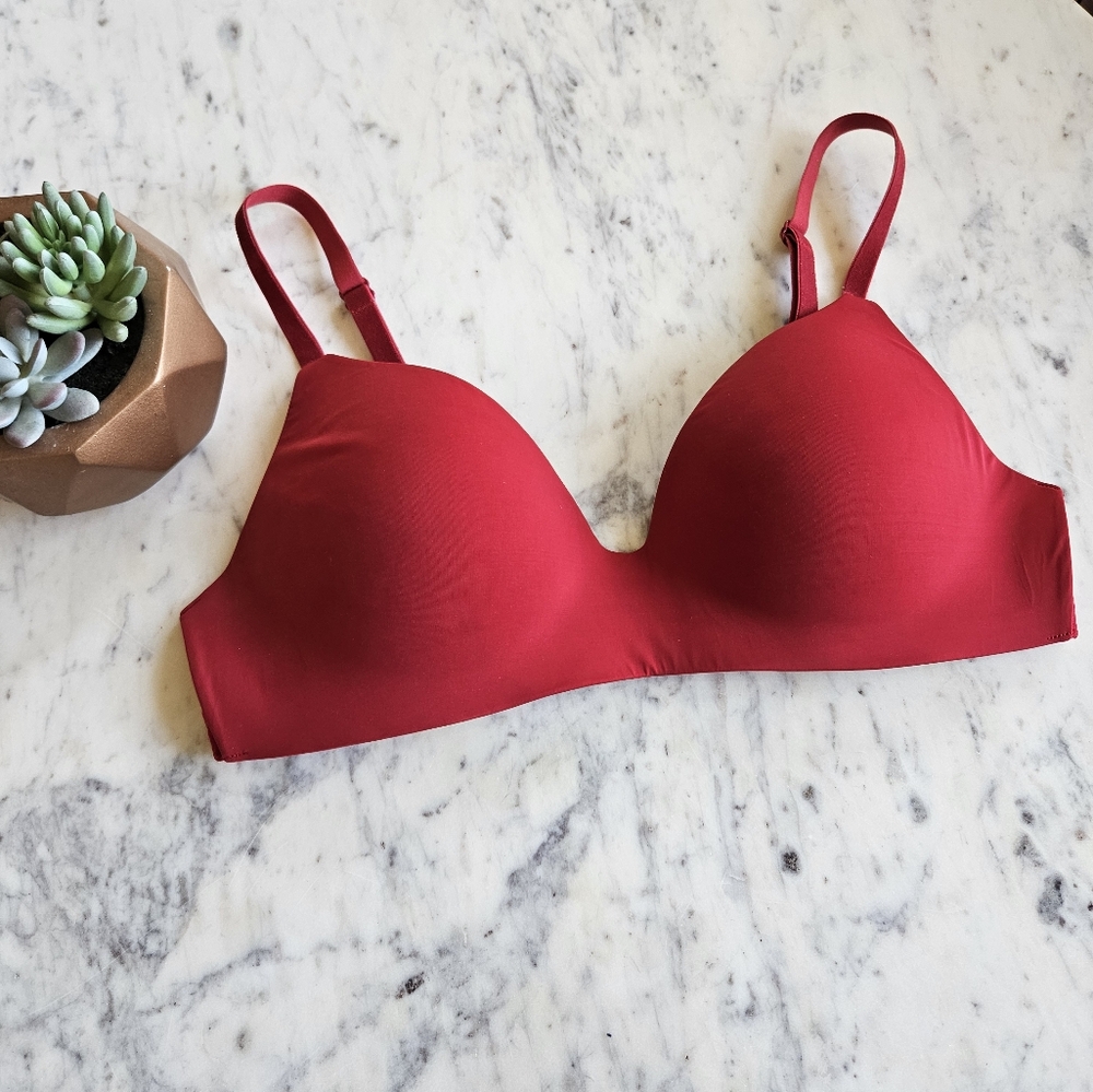 NWOT Victoria's Secret No Wire Bra Red Swiss Dot Mesh Panel Velvet Straps 36C